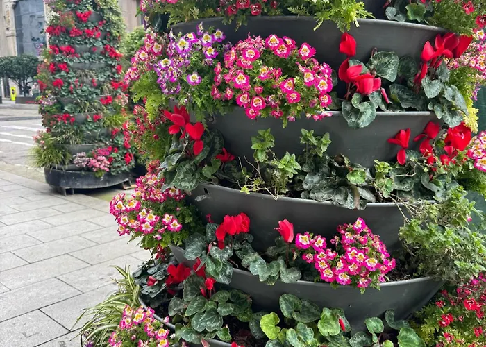 Apartmán Casco Vello Balcon 1 Y 2 *